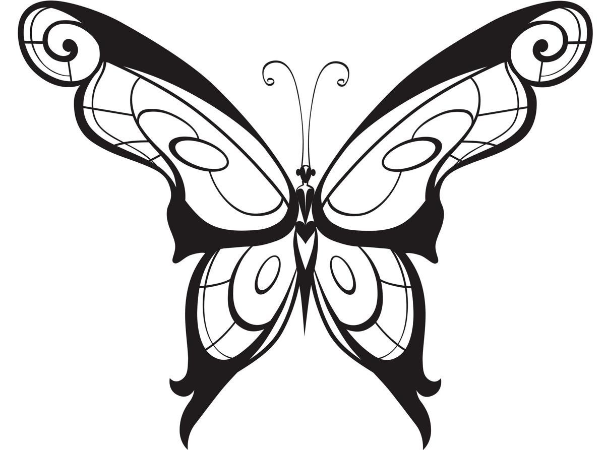 Бабочка скопировать. Бабочка рисунок. Бабочка тату эскиз. Красивые эскизы бабочек для тату. Бабочка набросок.