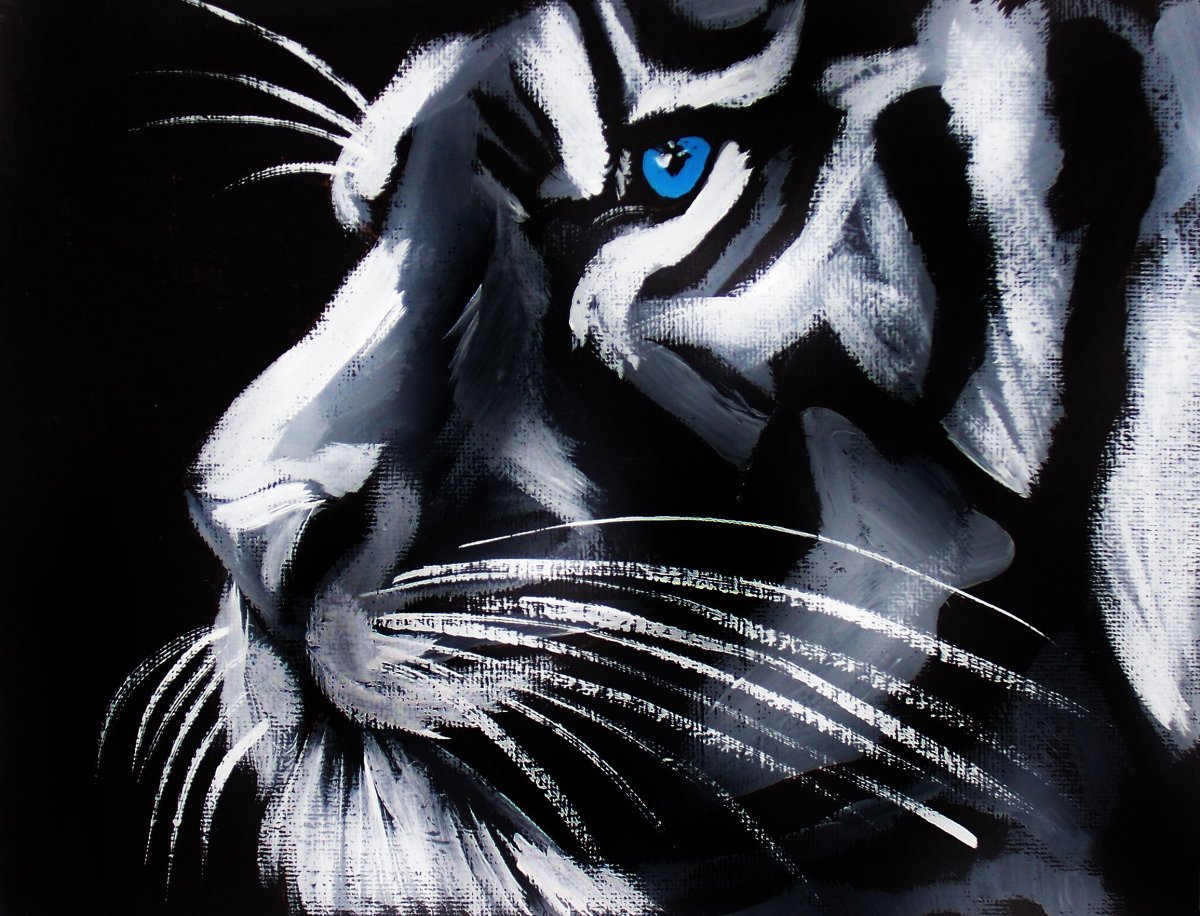 Тигр на черном фоне рисунок