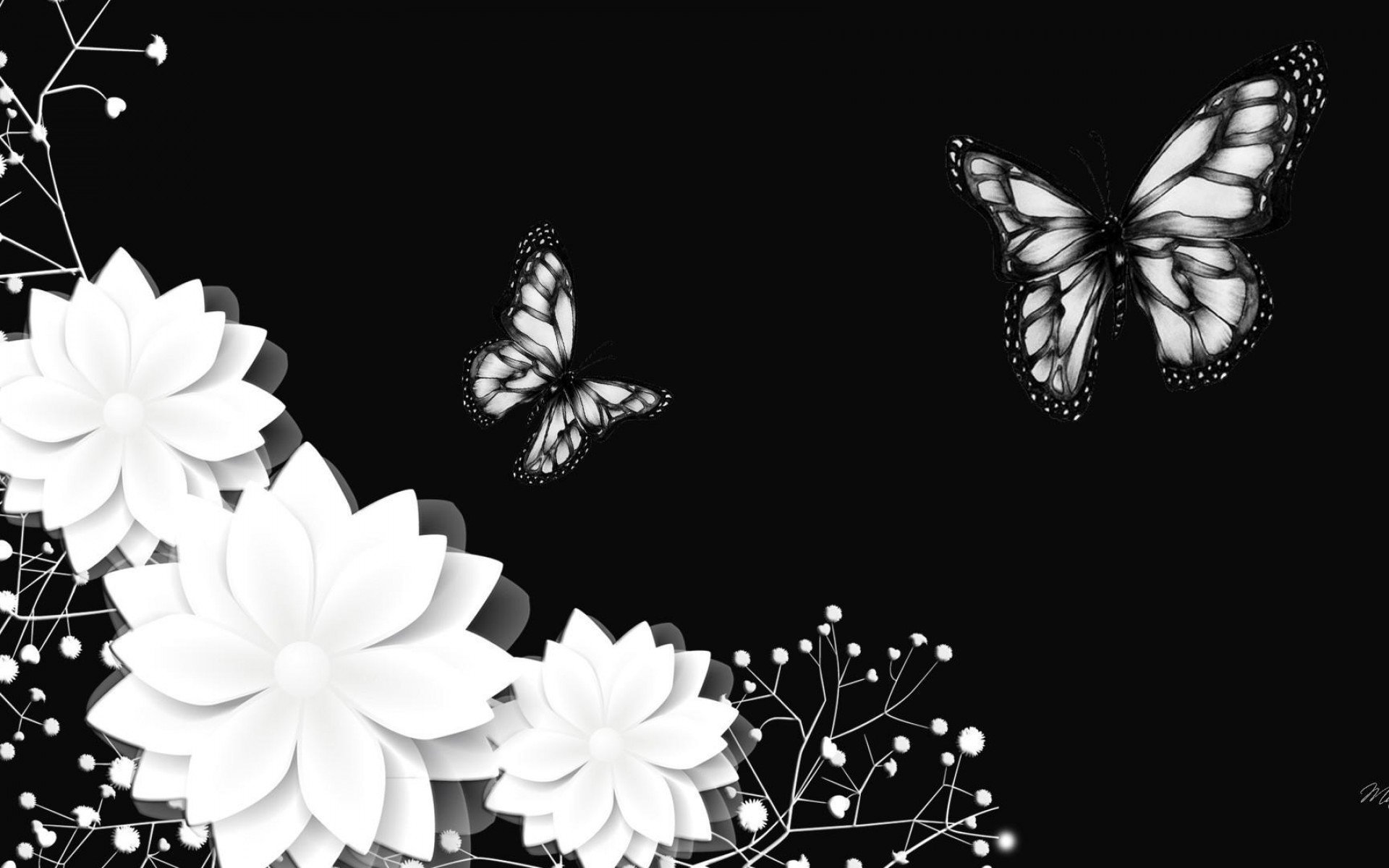Рисунки на фон телефона. Цветы на черном фоне. Красивые цветы на черном фоне. Бабочки на черном фоне. Бабочка на темном фоне.