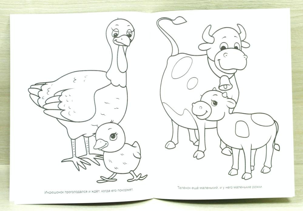 Раскраска 2 на а4. Большой маленький раскраска. Домашние животные раскраска для детей. Раскраска большой маленький для детей. Раскраска для малышей большой маленький.