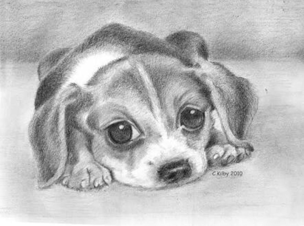 Рисунок щенка для срисовки