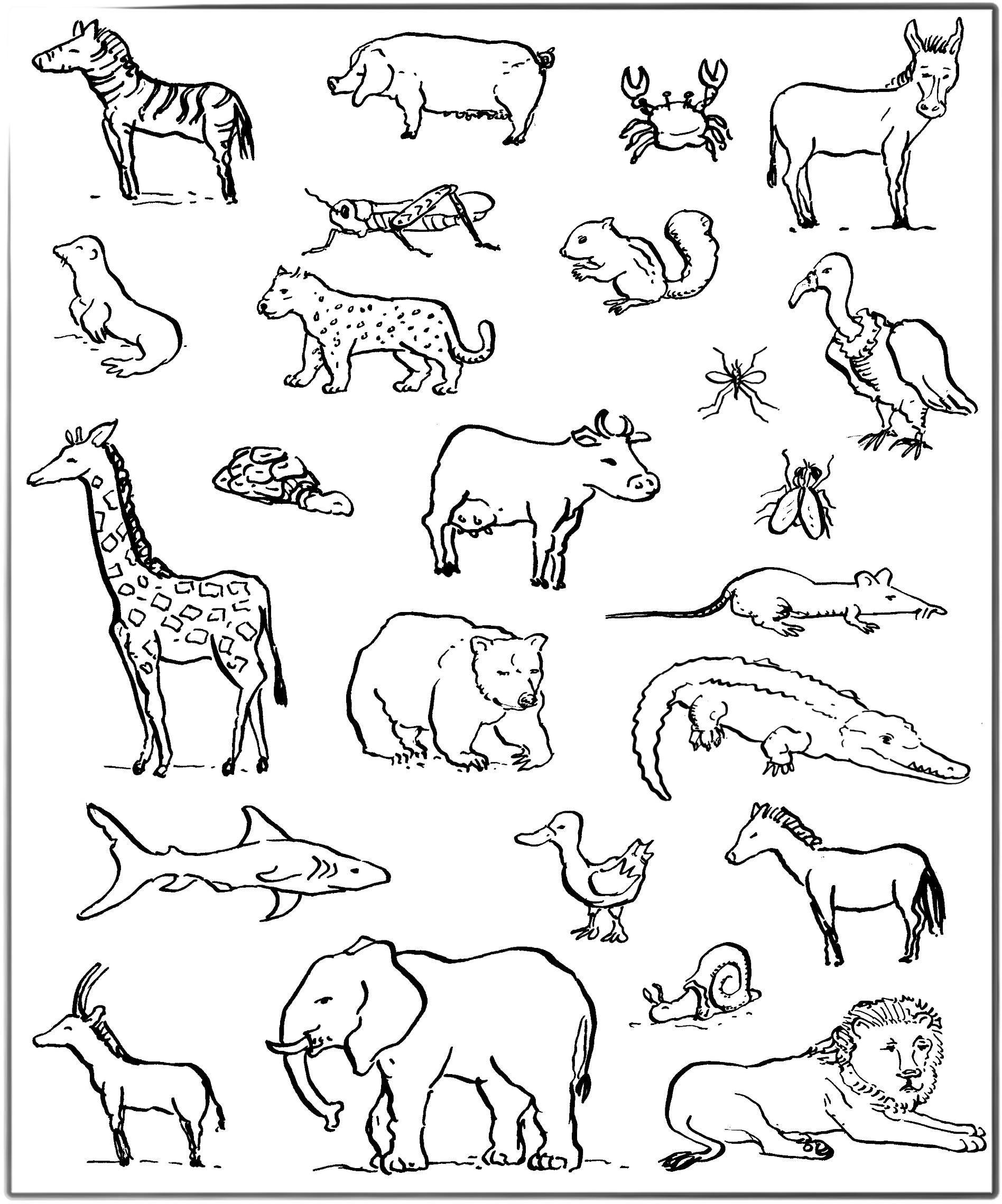 Тесты животные картинки. Животные рисунки. Раскраски. Животные. Схематичное изображение животных. Раскраски животные для детей.