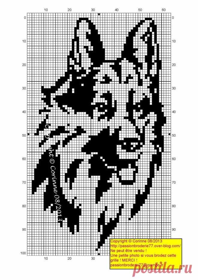 Схема вышивки «Собака» (№1571596)