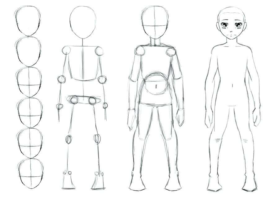 Тело для рисования. Схема рисования человека. Анатомия человека для рисования. Фигура человека для рисования. Как нарисовать человека поэтапно легко для начинающих