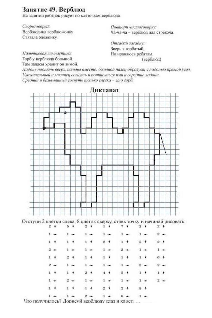 Графический диктант для дошкольников верблюд