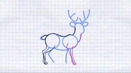 Рисунки по клеточкам олень простой