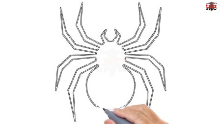 Ананас эскиз