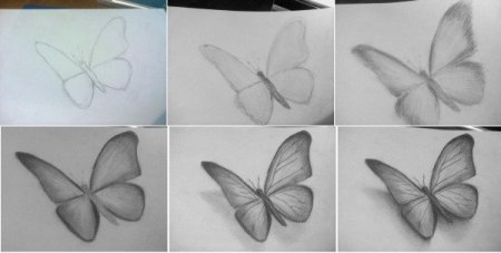 3д бабочка карандашом
