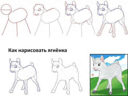 Рисунок волка для детей лёгкий