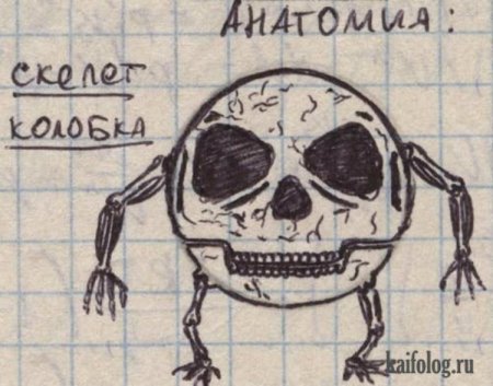 Рисунки ручкой легкие