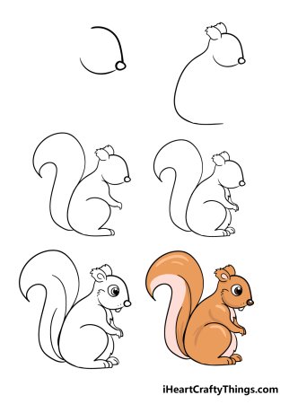 Белка рисунок карандашом легкий