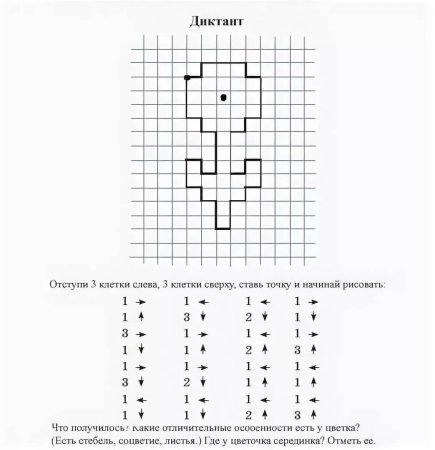 Графический диктант для дошкольников цветочек