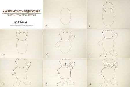 Рисунок медведя легкий для срисовки