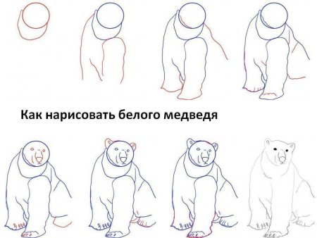Рисунок медведя карандашом для срисовки