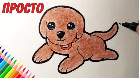 Рисунки собак легкие