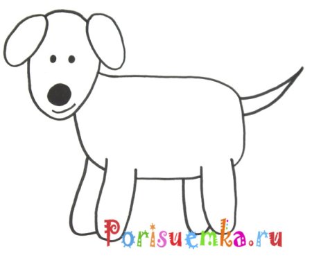 Рисование собаки поэтапно
