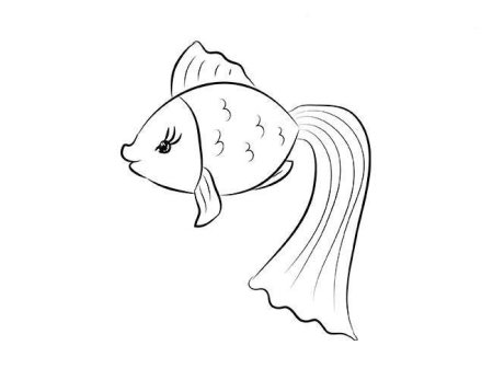 Золотая рыбка раскраска Распечатать бесплатно