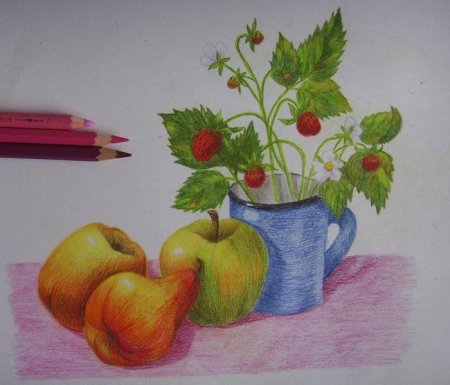 Натюрморт карандашом для начинающих