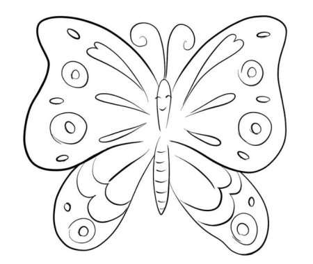 Бабочка рисунок карандашом для детей