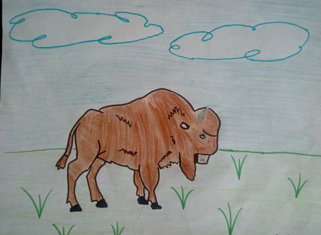 Легкий рисунок зубра