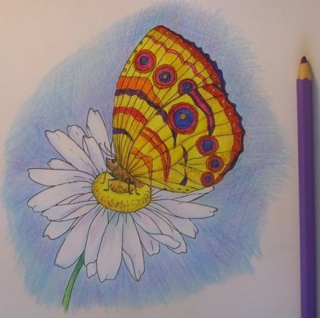 Рисунки цветными карандашами для детей