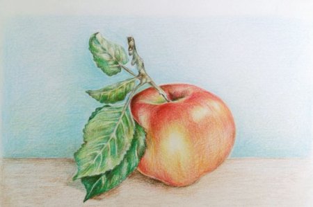 Фламинго цветными карандашами