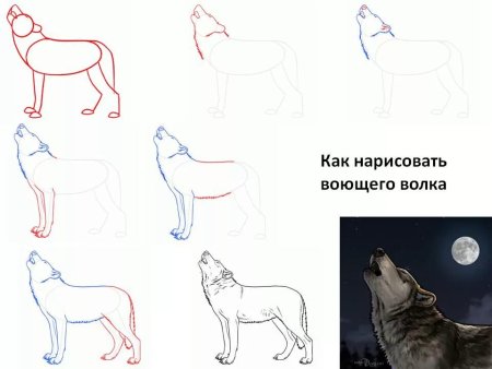 Как нарисовать волка пошагово для детей