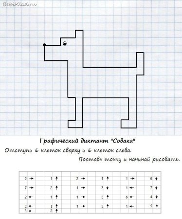 Графический диктант для дошкольников собака