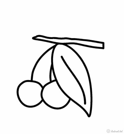 Раскраска Совушка