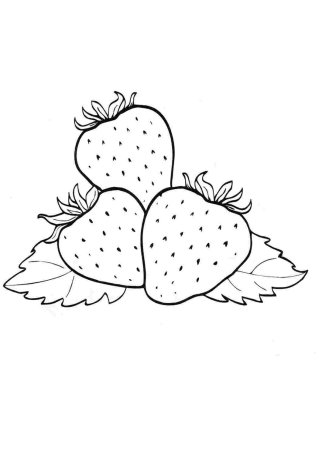 Цветы раскраска для детей