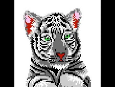 Жаккардовые узоры тигра