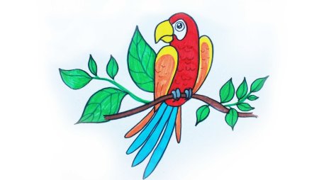 Рисунок попугая для срисовки