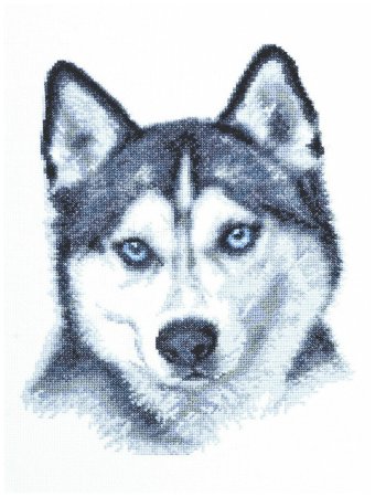 Рисунки по клеточкам хаски