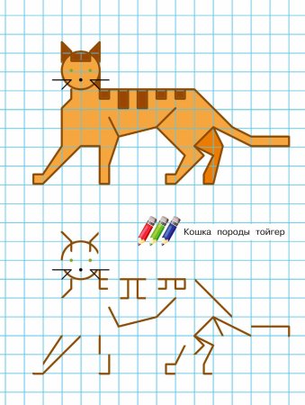 Кошка по клеточкам в тетради