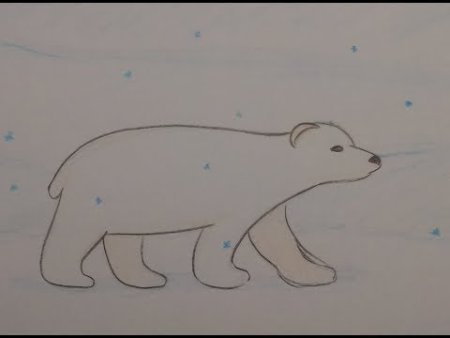 Медведь рисунок карандашом