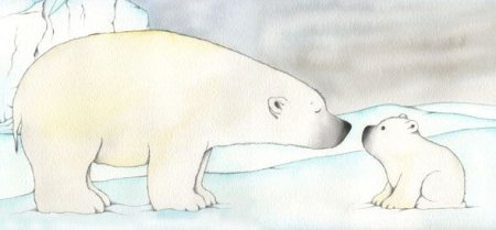 Рисунки белого медведя для срисовки