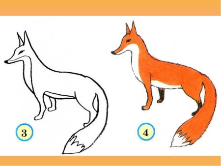 Поэтапное рисование лисы