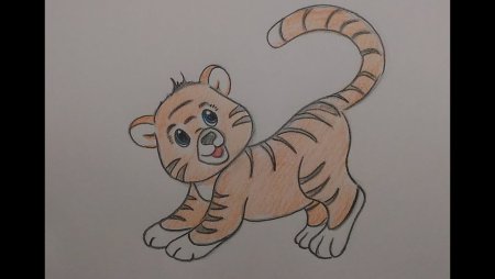 Рисунок тигренка карандашом для детей