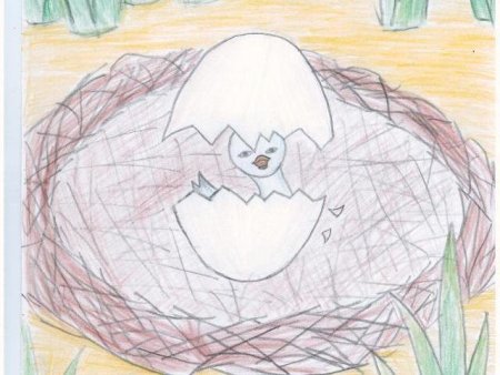 Стойкий оловянный солдатик: сказки