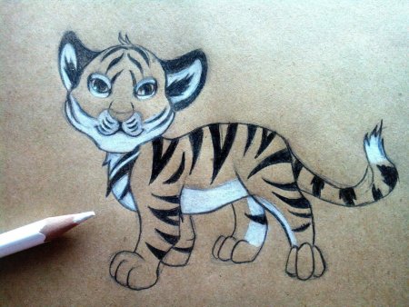Рисунок тигренка для срисовки