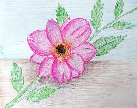 Рисунки для срисовки цветы