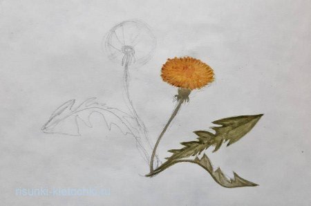 Одуванчик туториал