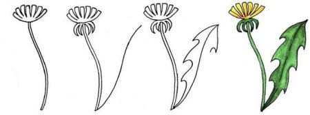 Схемы рисования цветов для детей