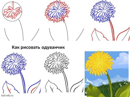 Одуванчик заготовка для рисования