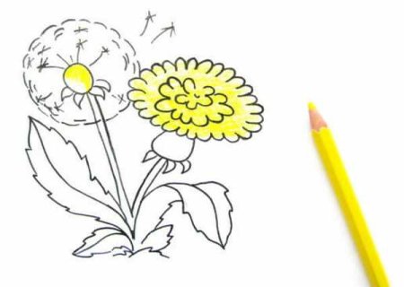 Одуванчики акварелью