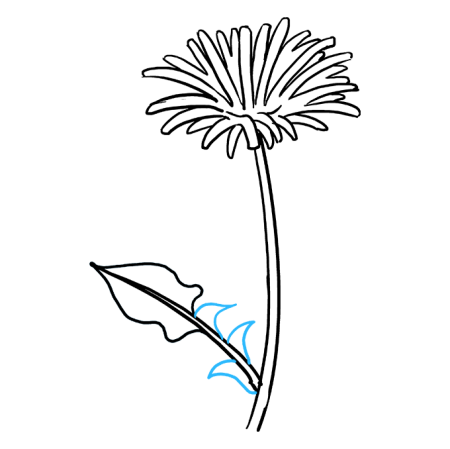 Рисование одуванчики в траве подготовительная группа