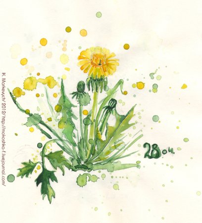 Рисование одуванчик