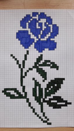 Рисунки по клеточкам