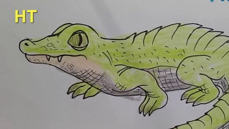 Крокодил для рисования