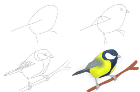 Снегирь цветными карандашами